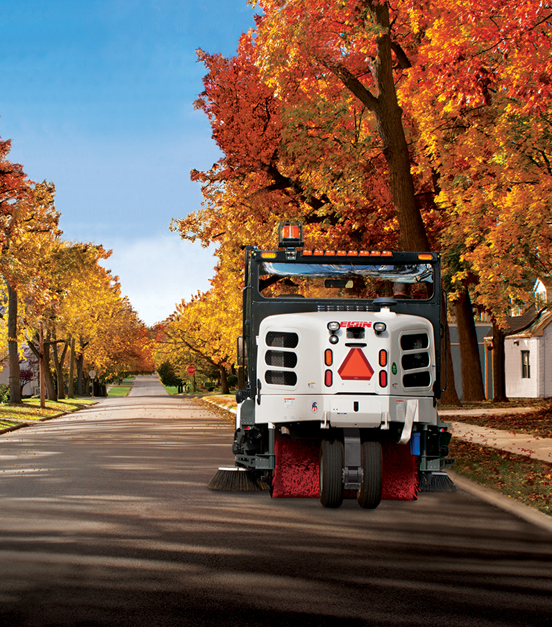 Elgin Pelican Fall Clean Up