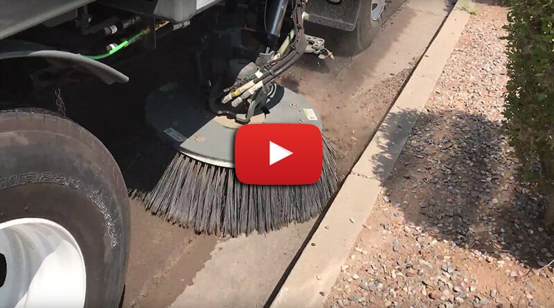 Broom Bear Sweeping Video